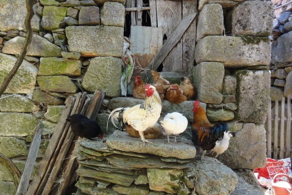 Foto 6 da atividade Galeria de Fotos