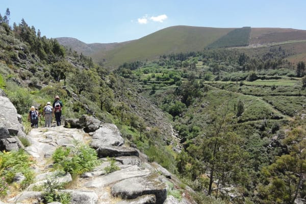 Foto 2 da atividade Galeria de Fotos