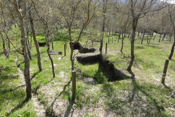 Foto 105 da atividade Galeria de Fotos