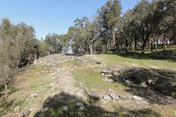 Foto 101 da atividade Galeria de Fotos