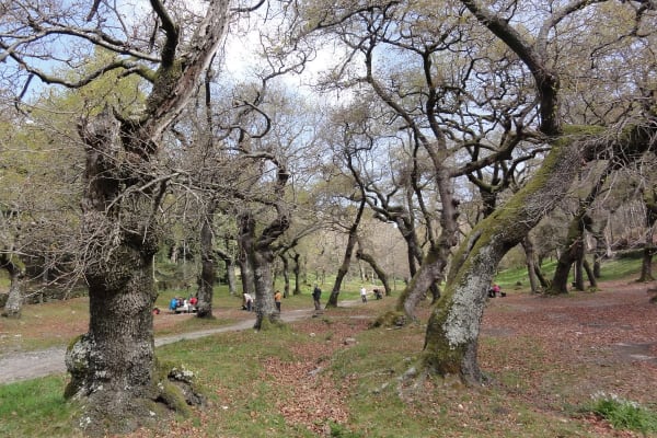 Foto 98 da atividade Galeria de Fotos