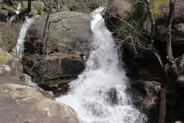 Foto 86 da atividade Galeria de Fotos