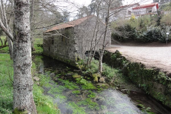 Foto 69 da atividade Galeria de Fotos