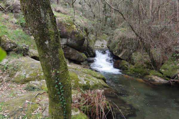 Foto 36 da atividade Galeria de Fotos