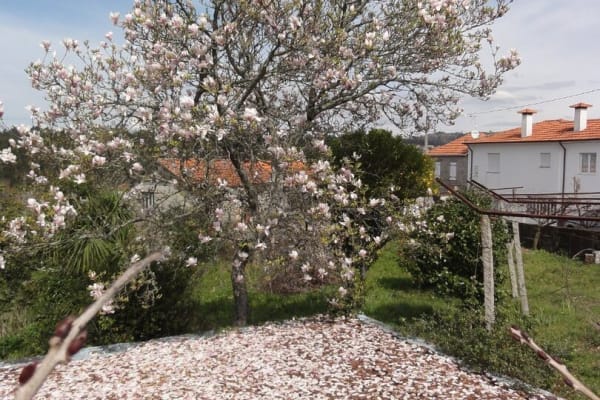 Foto 31 da atividade Galeria de Fotos