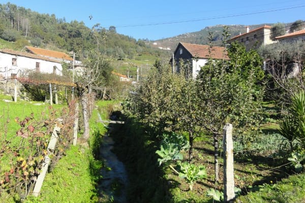 Foto 129 da atividade Galeria de Fotos