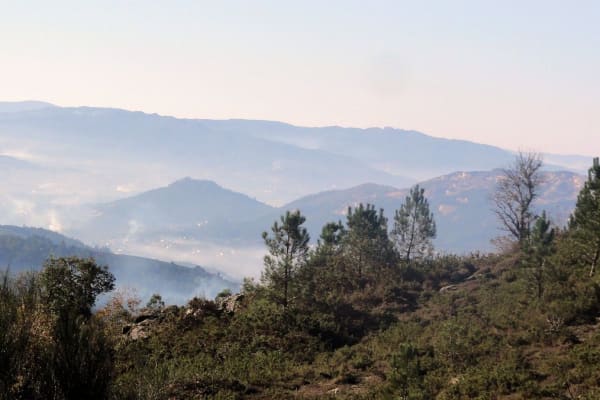 Foto 120 da atividade Galeria de Fotos