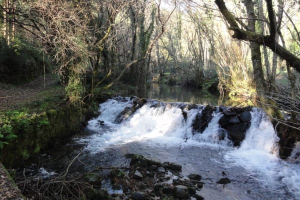 Foto 95 da atividade Galeria de Fotos