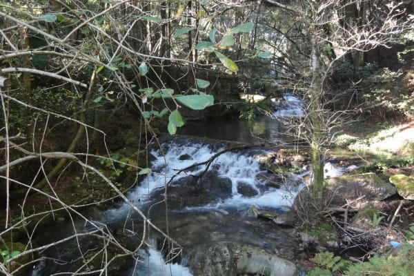 Foto 80 da atividade Galeria de Fotos