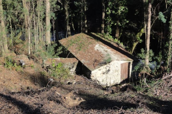 Foto 68 da atividade Galeria de Fotos