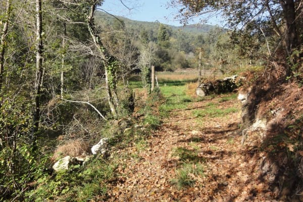 Foto 41 da atividade Galeria de Fotos