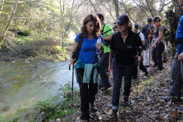 Foto 40 da atividade Galeria de Fotos