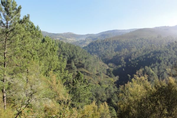 Foto 14 da atividade Galeria de Fotos