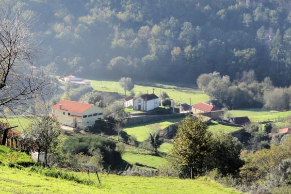 Foto 7 da atividade Galeria de Fotos