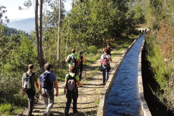 Foto 1 da atividade Galeria de Fotos