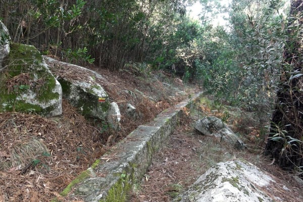 Foto 52 da atividade Galeria de Fotos