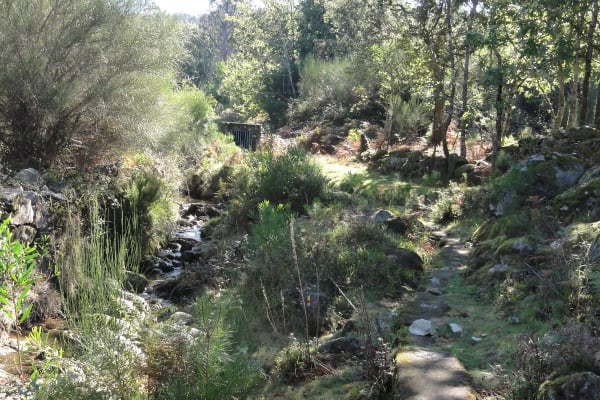 Foto 51 da atividade Galeria de Fotos