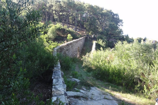 Foto 48 da atividade Galeria de Fotos