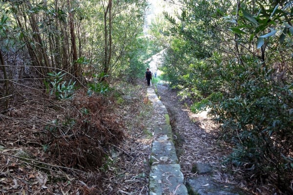 Foto 49 da atividade Galeria de Fotos