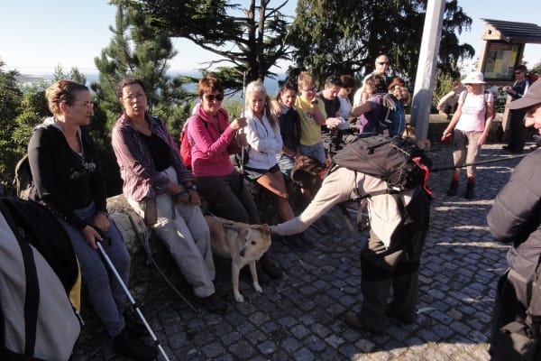 Foto 38 da atividade Galeria de Fotos