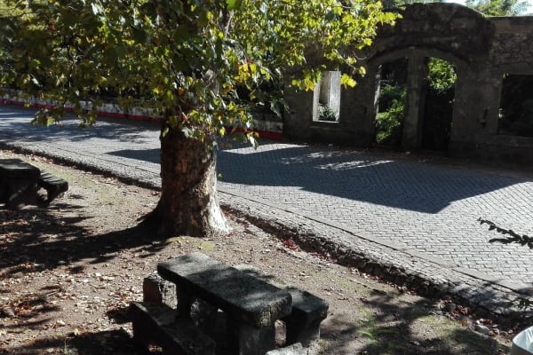 Foto 26 da atividade Galeria de Fotos