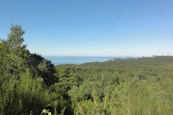 Foto 2 da atividade Galeria de Fotos