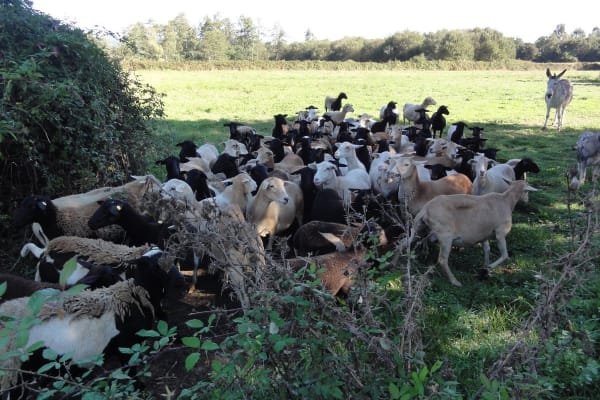 Foto 93 da atividade Galeria de Fotos