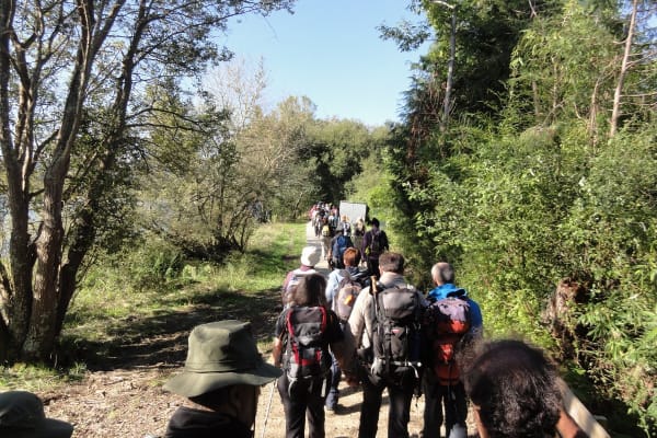 Foto 90 da atividade Galeria de Fotos