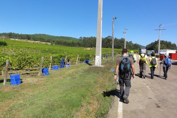 Foto 88 da atividade Galeria de Fotos