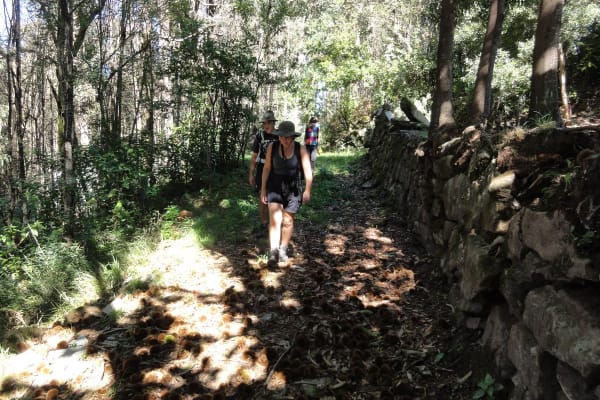 Foto 60 da atividade Galeria de Fotos