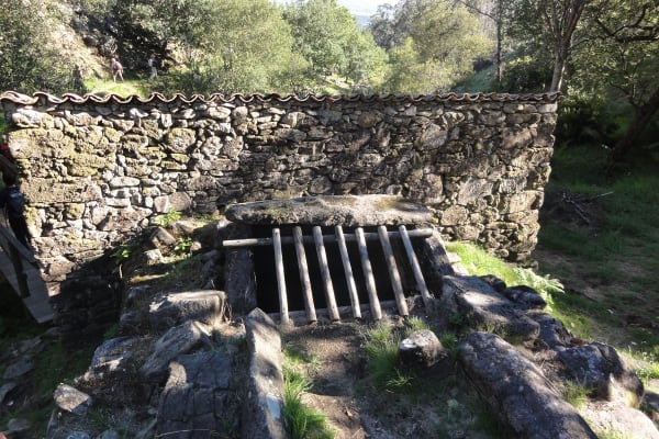 Foto 56 da atividade Galeria de Fotos