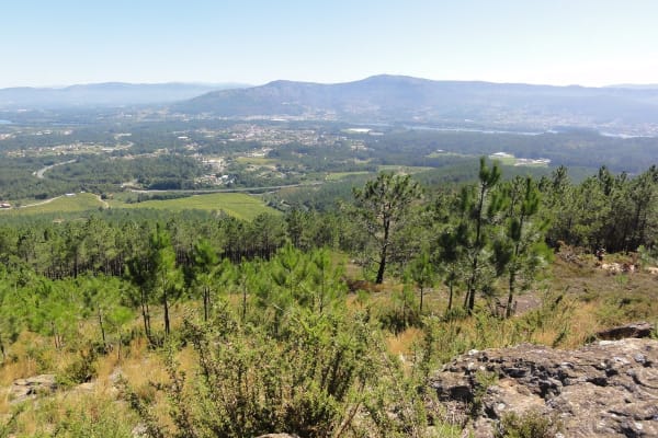 Foto 44 da atividade Galeria de Fotos