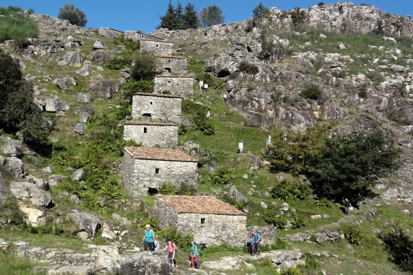 Foto 40 da atividade Galeria de Fotos