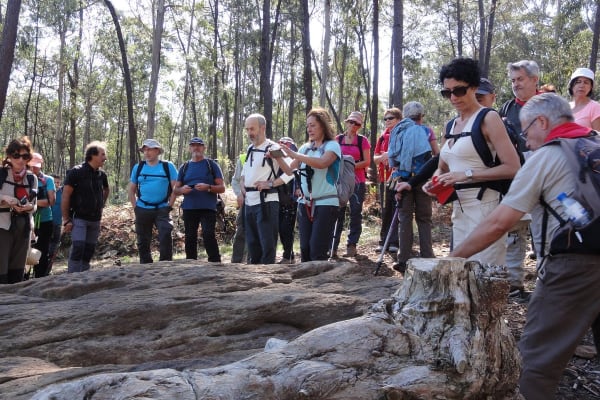 Foto 13 da atividade Galeria de Fotos