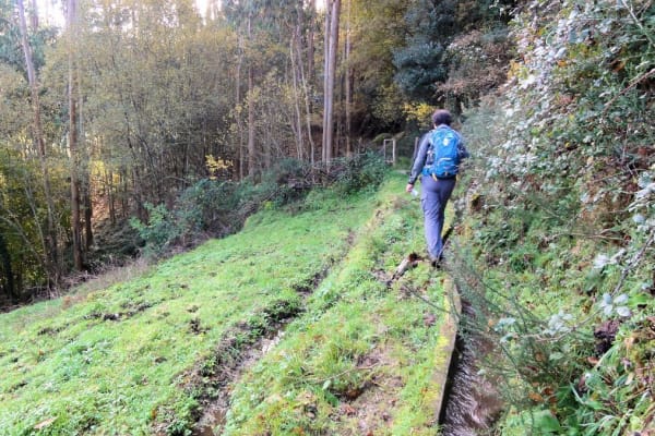 Foto 90 da atividade Galeria de Fotos