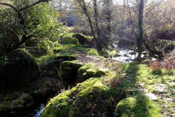 Foto 71 da atividade Galeria de Fotos