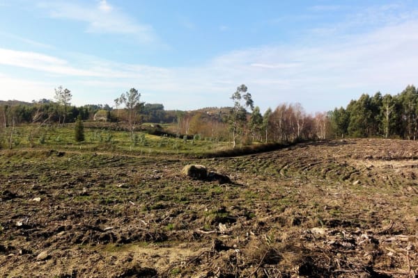 Foto 59 da atividade Galeria de Fotos