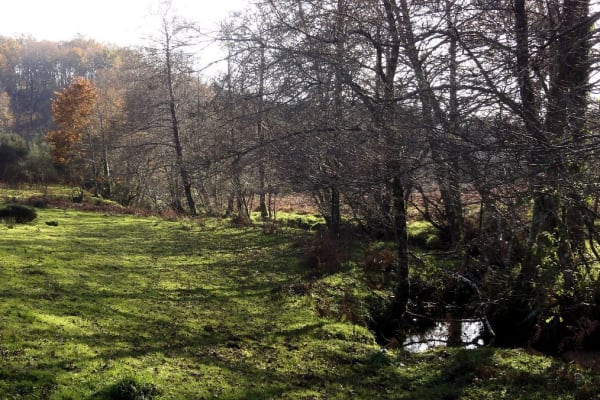 Foto 54 da atividade Galeria de Fotos