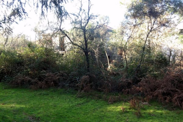 Foto 48 da atividade Galeria de Fotos