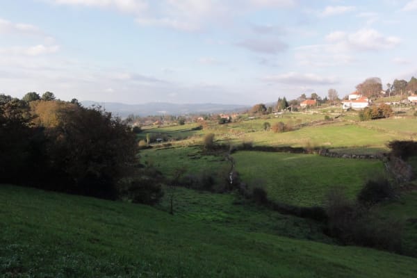 Foto 40 da atividade Galeria de Fotos