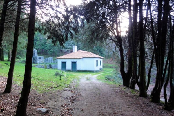 Foto 38 da atividade Galeria de Fotos