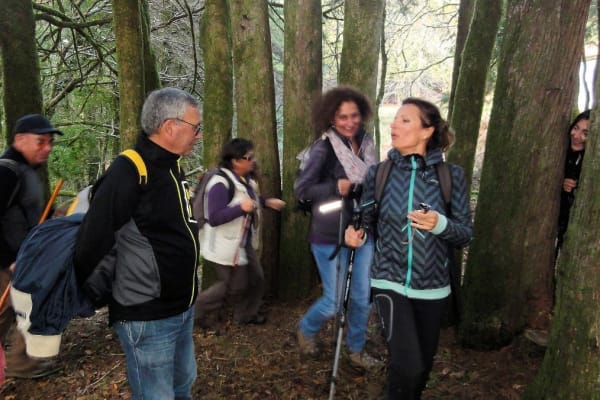 Foto 32 da atividade Galeria de Fotos