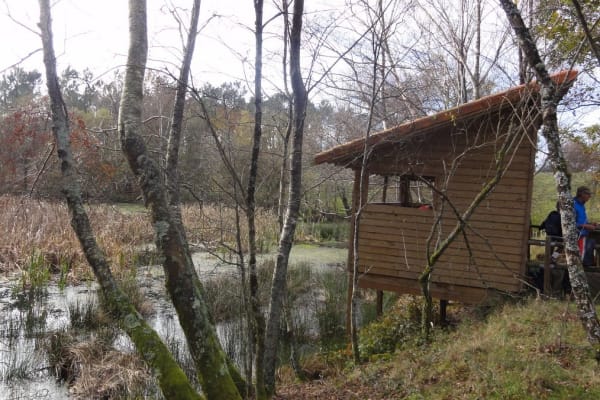 Foto 27 da atividade Galeria de Fotos