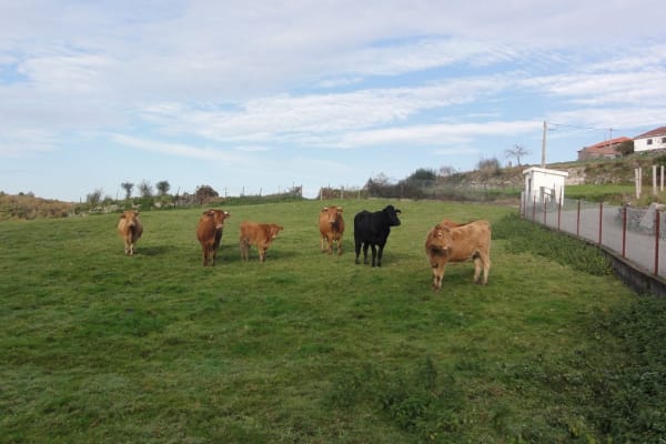 Foto 19 da atividade Galeria de Fotos