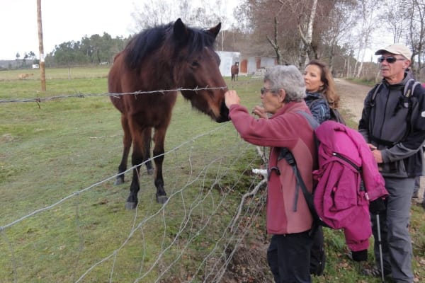 Foto 13 da atividade Galeria de Fotos