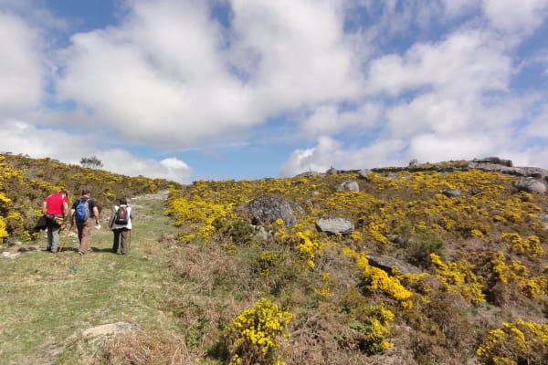 Foto 97 da atividade Galeria de Fotos