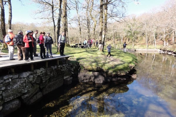 Foto 92 da atividade Galeria de Fotos