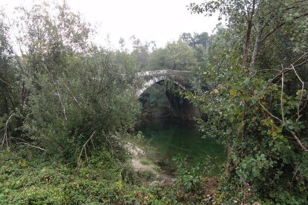 Foto 121 da atividade Galeria de Fotos