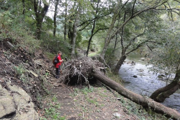 Foto 63 da atividade Galeria de Fotos