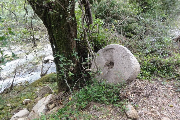 Foto 64 da atividade Galeria de Fotos